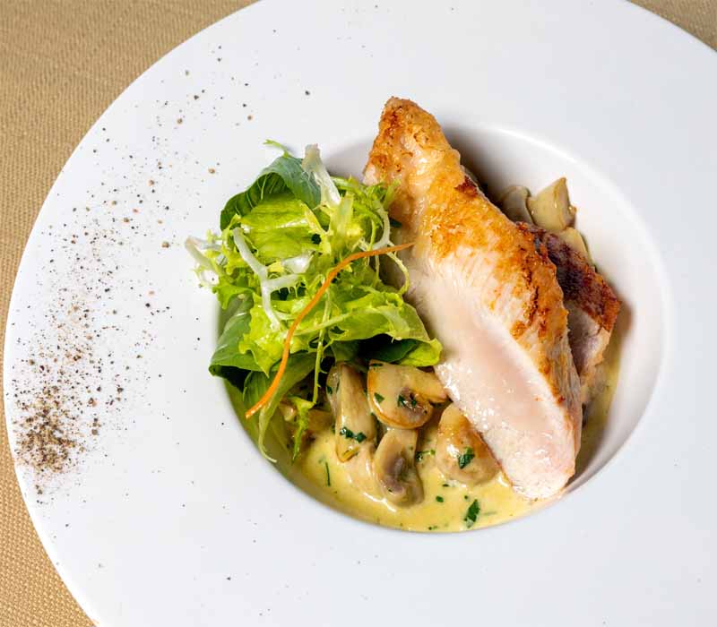 Chicken recipes with orzo