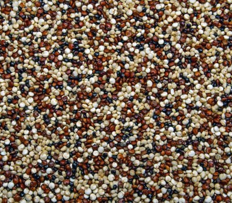 How to Grow Quinoa A Superfood