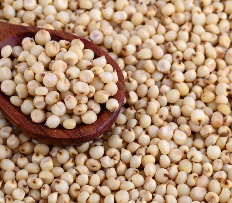 Is-Sorghum-Gluten-Free Discover the Sweet Truth About Is Sorghum Gluten Free