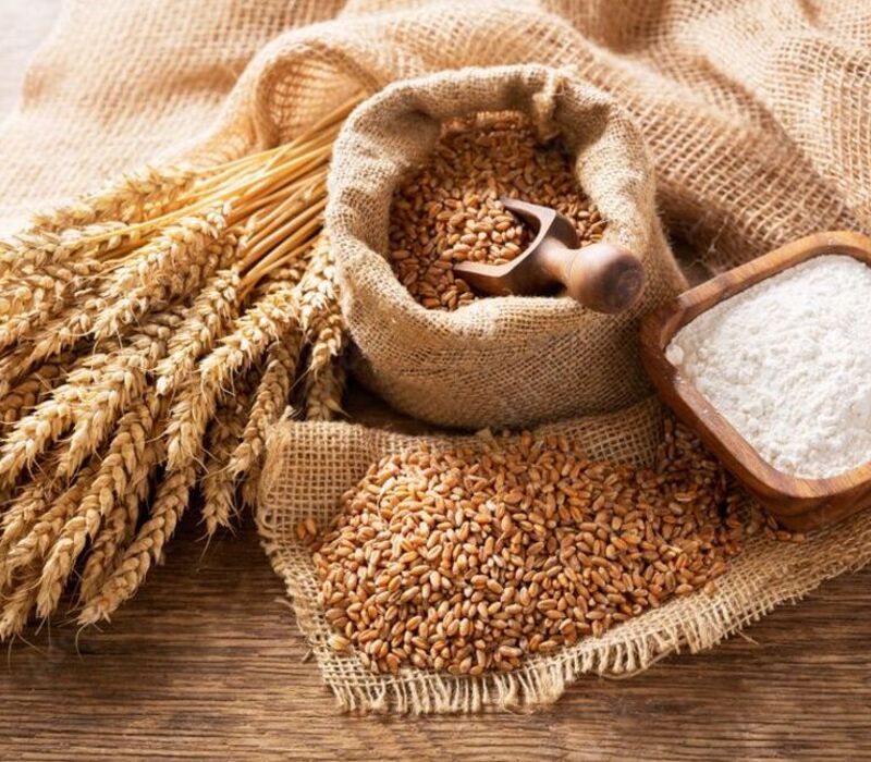 The Best Barley Flour Amazing Information The Best Barley Flour Amazing Information