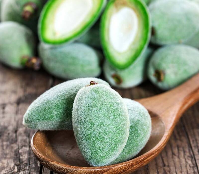 green-almonds Discover The Delicious Flavors of Green Almonds