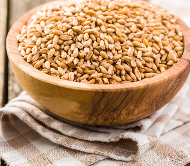 The Superfood Best Spelt Grain For You- Discover Benefits